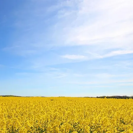 Διαμέρισμα Mit Meerblick Und Balkon, Gratis Nutzung Vom Ahoi Erlebnisbad Und Sauna In Sellin - Meeresblick 38 *